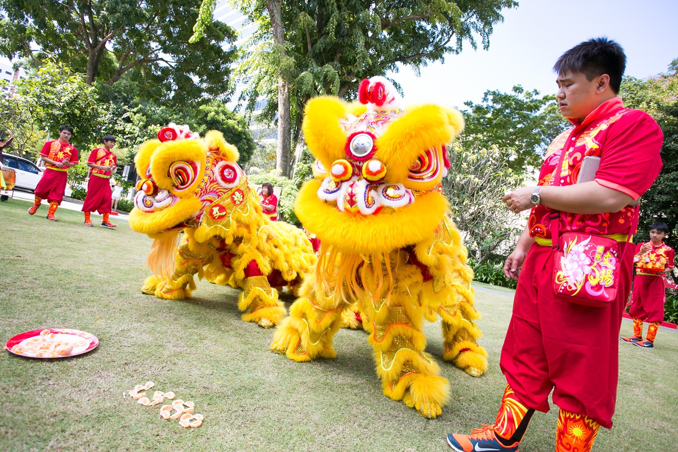 Wan Qing Festival of Spring 2018